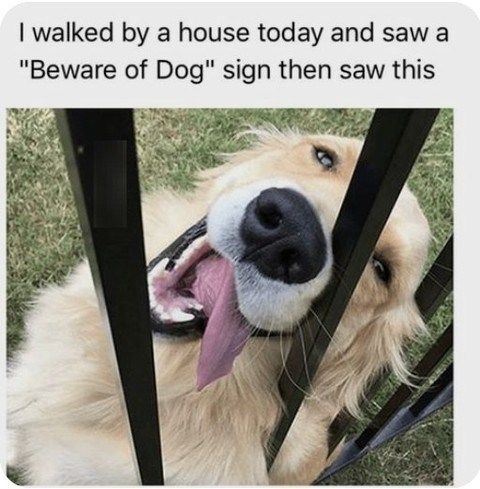 I walked by a house today and saw a "Beware of Dog" sign then saw this