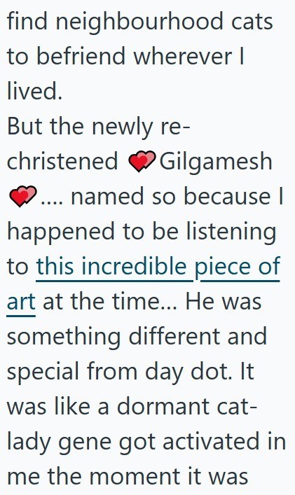 find neighbourhood cats to befriend wherever I lived. But the newly re- christened Gilgamesh .... named so because I happened to be listening to this incredible piece of art at the time... He was something different and special from day dot. It was like a dormant cat- lady gene got activated in me the moment it was