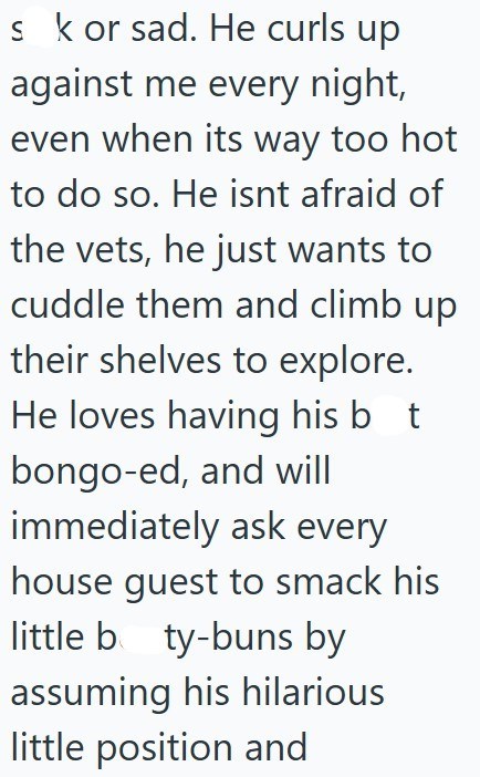 sk or sad. He curls up against me every night, even when its way too hot to do so. He isnt afraid of the vets, he just wants to cuddle them and climb up their shelves to explore. He loves having his b t bongo-ed, and will immediately ask every house guest to smack his little b ty-buns by assuming his hilarious little position and
