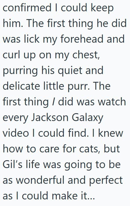 confirmed I could keep him. The first thing he did was lick my forehead and curl up on my chest, purring his quiet and delicate little purr. The first thing I did was watch every Jackson Galaxy video I could find. I knew how to care for cats, but Gil's life was going to be as wonderful and perfect as I could make it...