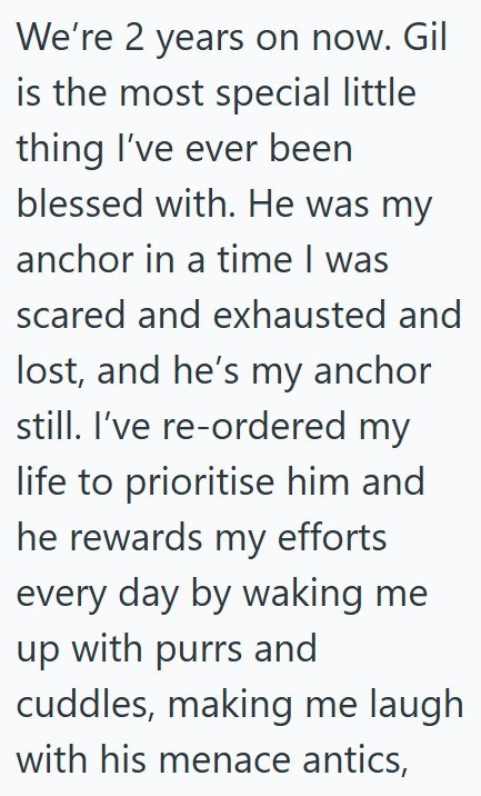 We're 2 years on now. Gil is the most special little thing I've ever been blessed with. He was my anchor in a time I was scared and exhausted and lost, and he's my anchor still. I've re-ordered my life to prioritise him and he rewards my efforts every day by waking me up with purrs and cuddles, making me laugh with his menace antics,