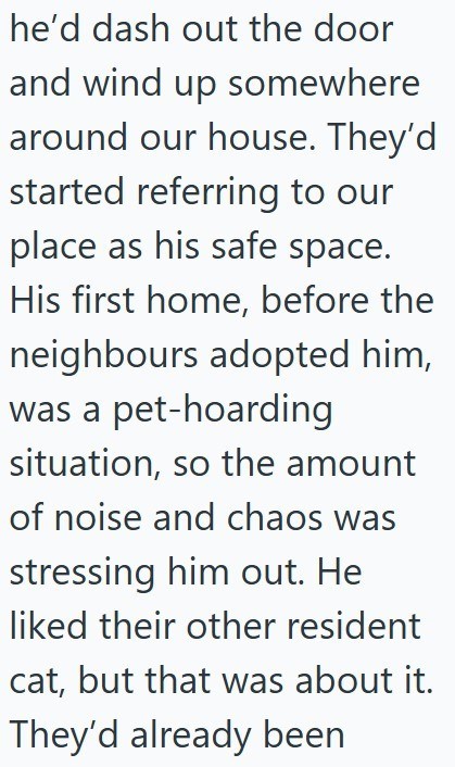 he'd dash out the door and wind up somewhere around our house. They'd started referring to our place as his safe space. His first home, before the neighbours adopted him, was a pet-hoarding situation, so the amount of noise and chaos was stressing him out. He liked their other resident cat, but that was about it. They'd already been
