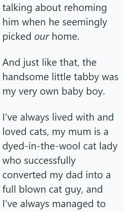 talking about rehoming him when he seemingly picked our home. And just like that, the handsome little tabby was my very own baby boy. I've always lived with and loved cats, my mum is a dyed-in-the-wool cat lady who successfully converted my dad into a full blown cat guy, and I've always managed to