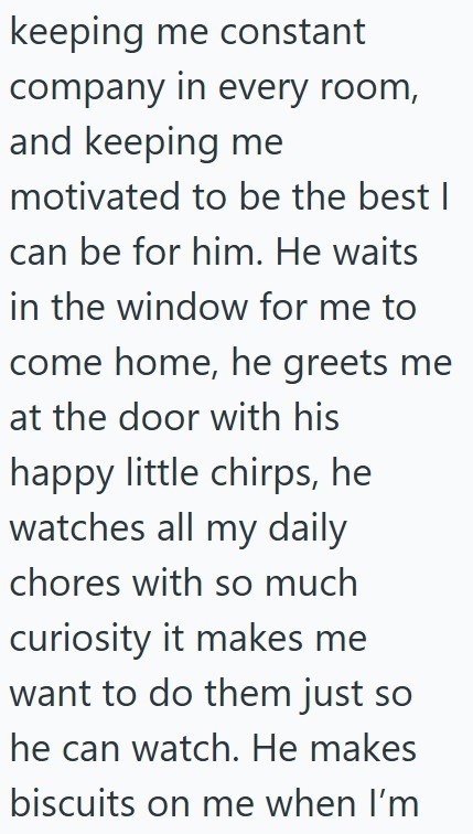 keeping me constant company in every room, and keeping me motivated to be the best I can be for him. He waits in the window for me to come home, he greets me at the door with his happy little chirps, he watches all my daily chores with so much curiosity it makes me want to do them just so he can watch. He makes biscuits on me when I'm