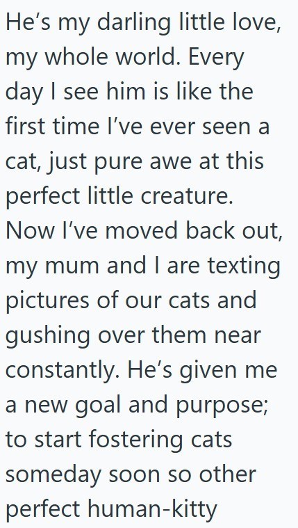 He's my darling little love, my whole world. Every day I see him is like the first time I've ever seen a cat, just pure awe at this perfect little creature. Now I've moved back out, my mum and I are texting pictures of our cats and gushing over them near constantly. He's given me a new goal and purpose; to start fostering cats someday soon so other perfect human-kitty