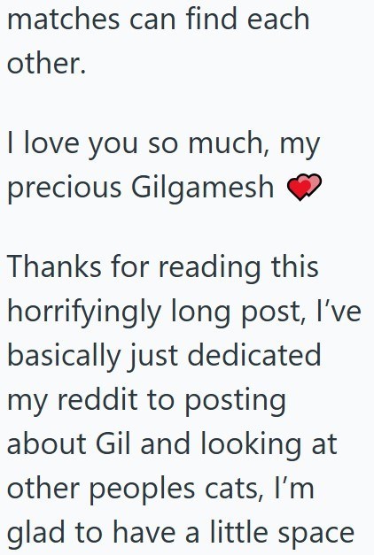 matches can find each other. I love you so much, my precious Gilgamesh Thanks for reading this horrifyingly long post, I've basically just dedicated my reddit to posting about Gil and looking at other peoples cats, I'm glad to have a little space
