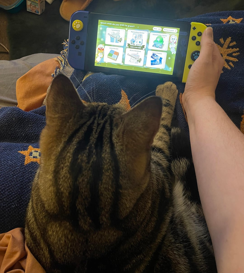which wish do you wish to grant? Completel Mark 49 Was to grant 2 Renovation Centre Add a new m Complete! vel Tickets B