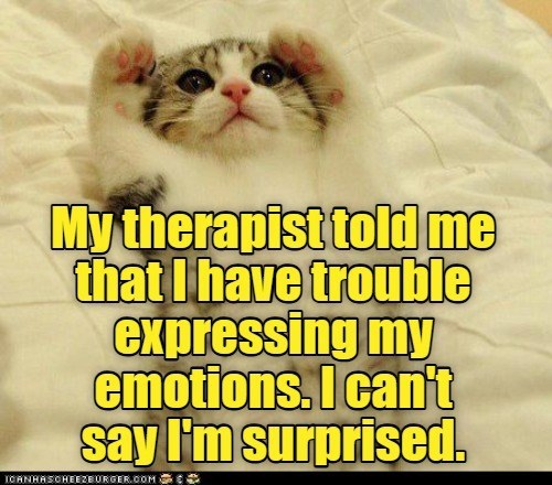My therapist told me that I have trouble expressing my emotions. I can't say I'm surprised. ICANHASCHEEZBURGER.COM
