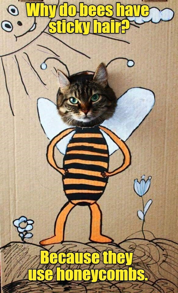 Why do bees have sticky hair? Because they use honeycombs.