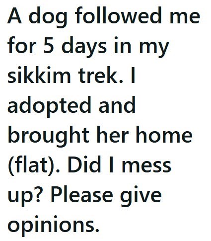 A dog followed me for 5 days in my sikkim trek. I adopted and brought her home (flat). Did I mess up? Please give opinions.