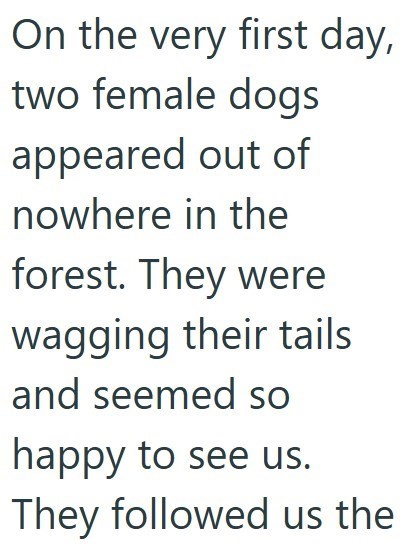On the very first day, two female dogs appeared out of nowhere in the forest. They were wagging their tails and seemed so happy to see us. They followed us the