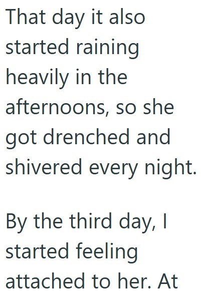 That day it also started raining heavily in the afternoons, so she got drenched and shivered every night. By the third day, I started feeling attached to her. At
