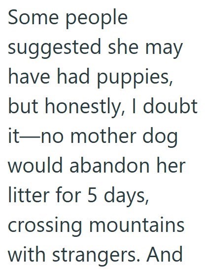 Some people suggested she may have had puppies, but honestly, I doubt it-no mother dog would abandon her litter for 5 days, crossing mountains with strangers. And