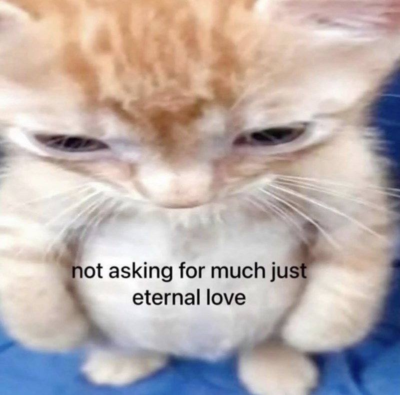 not asking for much just eternal love