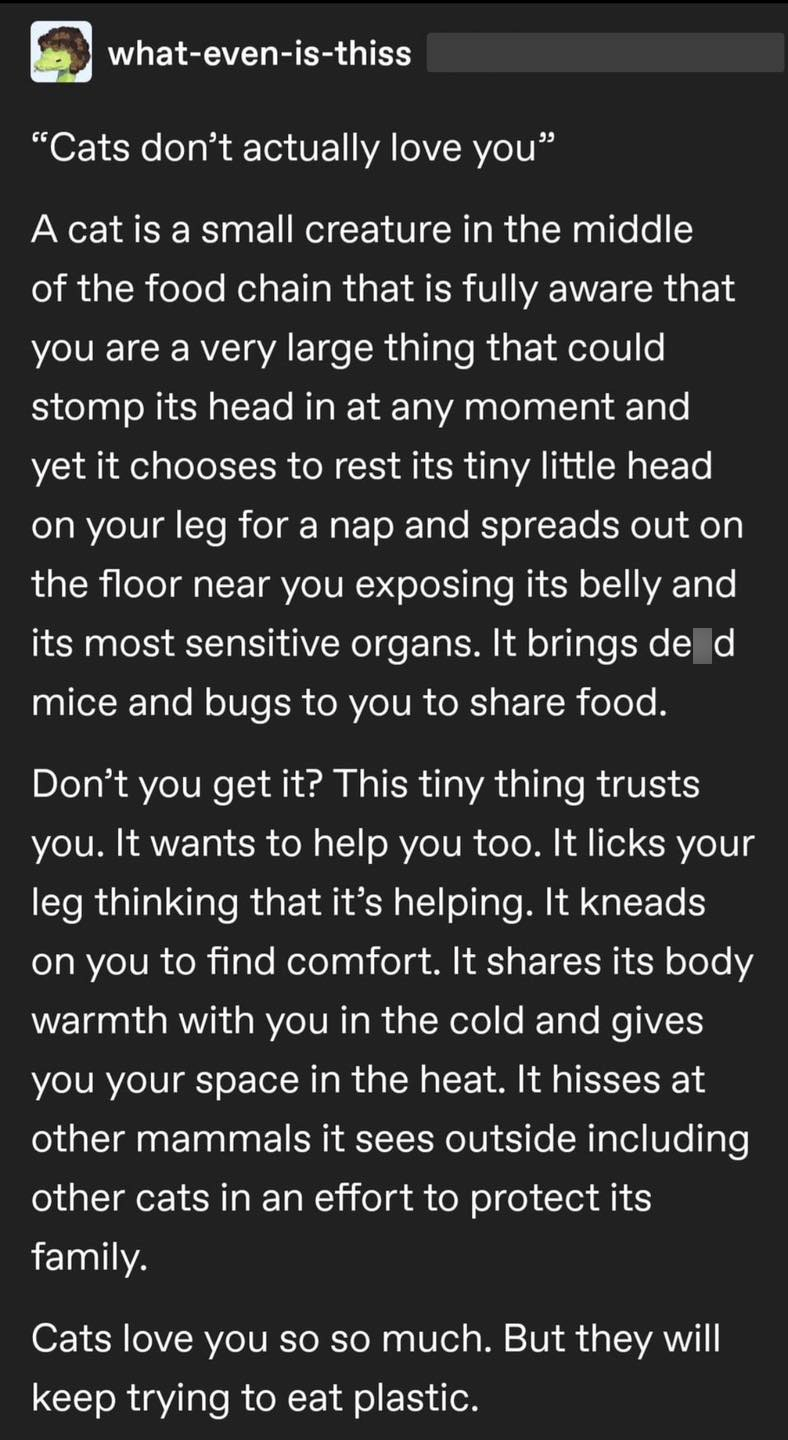 what-even-is-thiss "Cats don't actually love you" A cat is a small creature in the middle of the food chain that is fully aware that you are a very large thing that could stomp its head in at any moment and yet it chooses to rest its tiny little head on your leg for a nap and spreads out on the floor near you exposing its belly and its most sensitive organs. It brings de d mice and bugs to you to share food. Don't you get it? This tiny thing trusts you. It wants to help you too. It licks your le