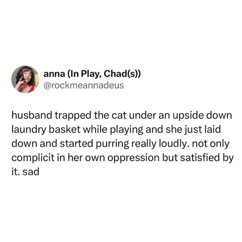 anna (In Play, Chad(s)) @rockmeannadeus husband trapped the cat under an upside down laundry basket while playing and she just laid down and started purring really loudly. not only complicit in her own oppression but satisfied by it. sad