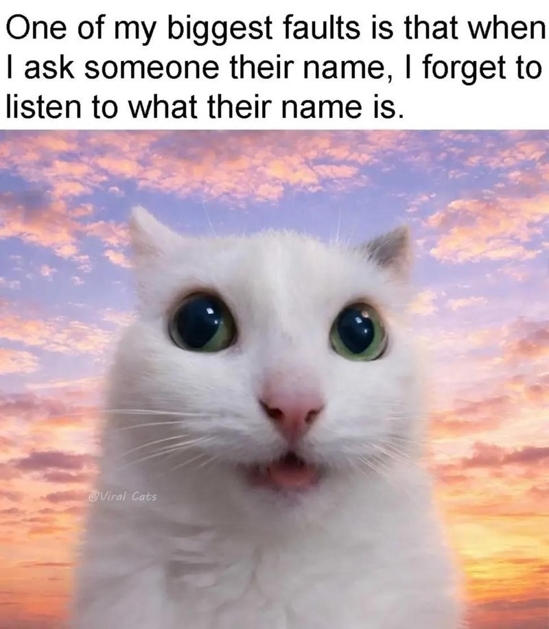 One of my biggest faults is that when I ask someone their name, I forget to listen to what their name is. @Viral Cats