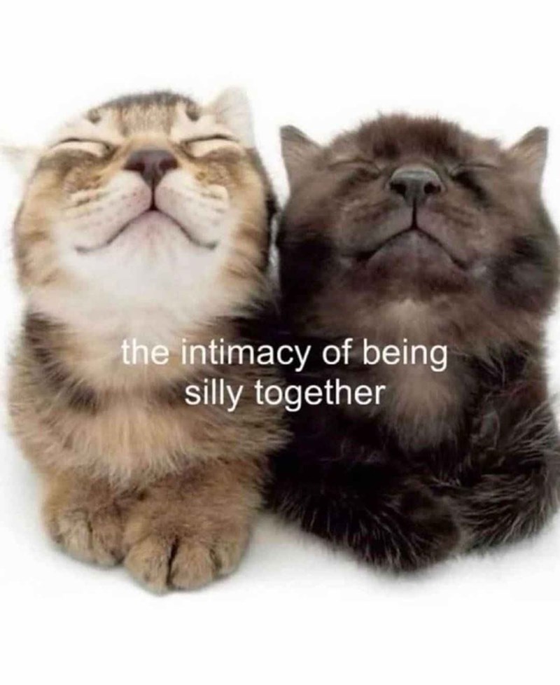 the intimacy of being silly together