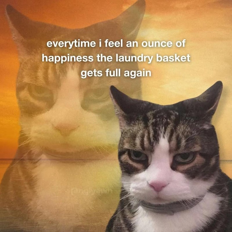 everytime i feel an ounce of happiness the laundry basket gets full again Orglyown