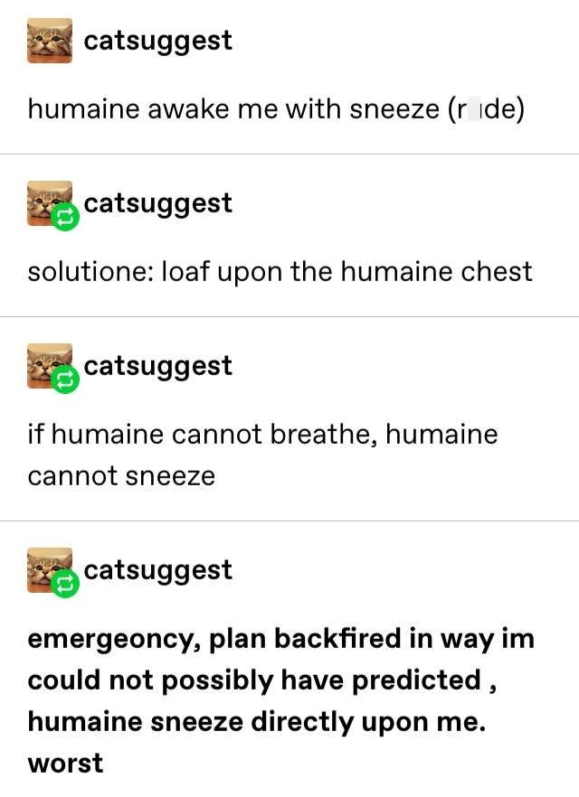 catsuggest humaine awake me with sneeze (ride) catsuggest solutione: loaf upon the humaine chest catsuggest if humaine cannot breathe, humaine cannot sneeze catsuggest emergeoncy, plan backfired in way im could not possibly have predicted, humaine sneeze directly upon me. worst