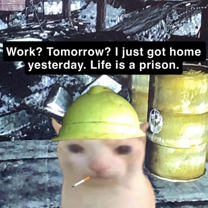 Work? Tomorrow? I just got home yesterday. Life is a prison. PURA