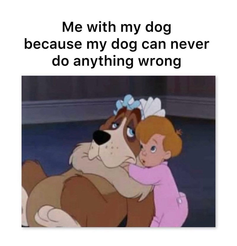 Me with my dog because my dog can never do anything wrong