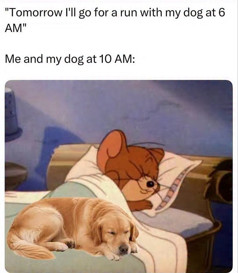 "Tomorrow I'll go for a run with my dog at 6 AM" Me and my dog at 10 AM: