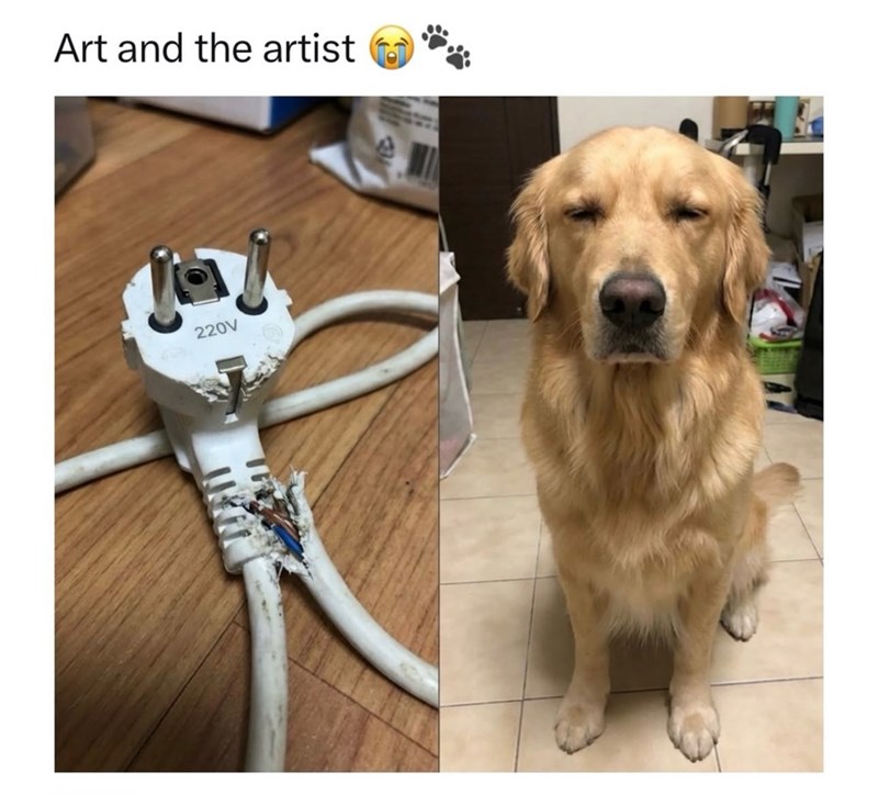 Art and the artist لحل 220V