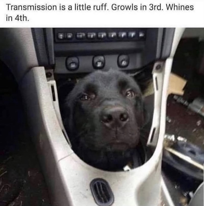 Transmission is a little ruff. Growls in 3rd. Whines in 4th.