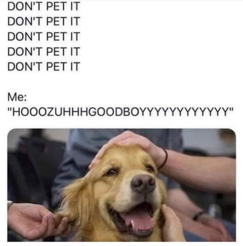 DON'T PET IT DON'T PET IT DON'T PET IT DON'T PET IT DON'T PET IT Me: "HOOOZUHHHGOODBOYYYYYYYYYYYY"