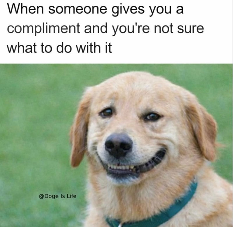 When someone gives you a compliment and you're not sure what to do with it @Doge Is Life