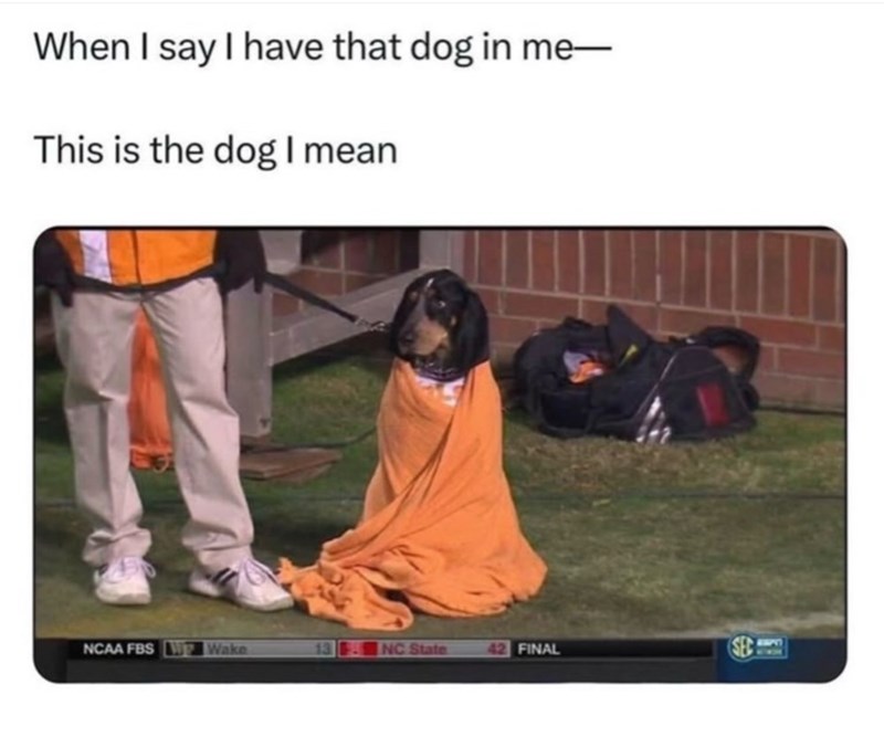 When I say I have that dog in me- This is the dog I mean NCAA FBS Wake 13 NC State 42 FINAL