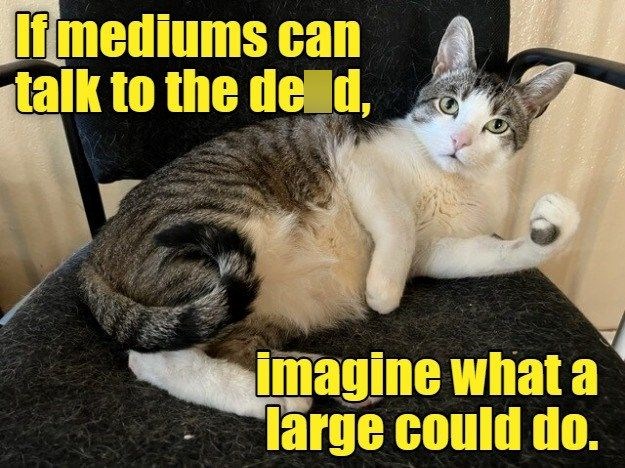 If mediums can talk to the deld, imagine what a large could do.