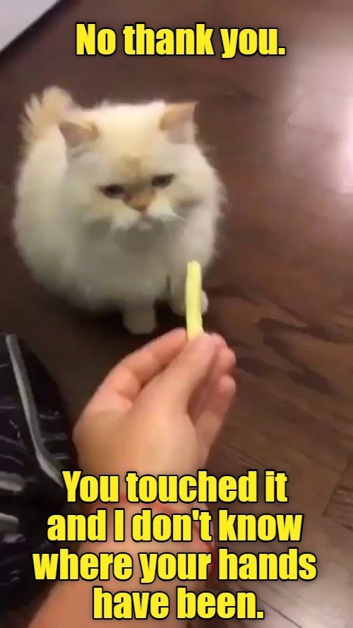 No thank you. You touched it and I don't know where your hands have been.