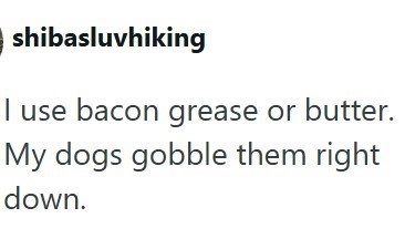 shibasluvhiking I use bacon grease or butter. My dogs gobble them right down.