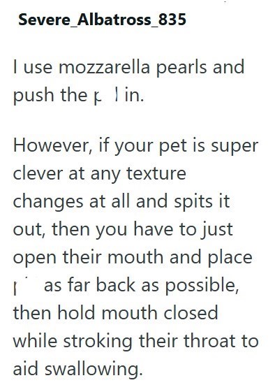 Severe_Albatross_835 I use mozzarella pearls and push the p 1 in. However, if your pet is super clever at any texture changes at all and spits it out, then you have to just open their mouth and place I as far back as possible, then hold mouth closed while stroking their throat to aid swallowing.