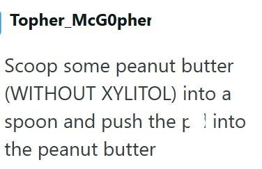 Topher_McGopher Scoop some peanut butter (WITHOUT XYLITOL) into a spoon and push the p | into the peanut butter
