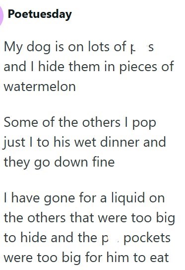 Poetuesday My dog is on lots of p and I hide them in pieces of watermelon Some of the others I pop just I to his wet dinner and they go down fine I have gone for a liquid on the others that were too big to hide and the p. pockets were too big for him to eat