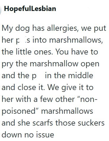 HopefulLesbian My dog has allergies, we put herp is into marshmallows, the little ones. You have to pry the marshmallow open and the p in the middle and close it. We give it to her with a few other "non- poisoned" marshmallows and she scarfs those suckers down no issue