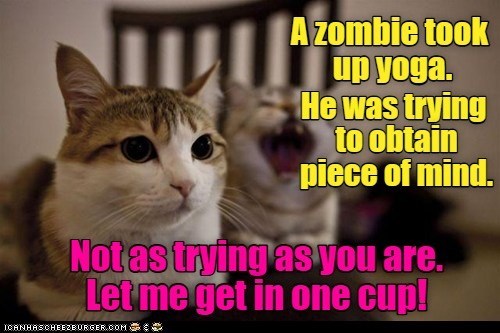 A zombie took up yoga. He was trying to obtain piece of mind. Not as trying as you are. Let me get in one cup! ICANHASCHEEZBURGER.COM