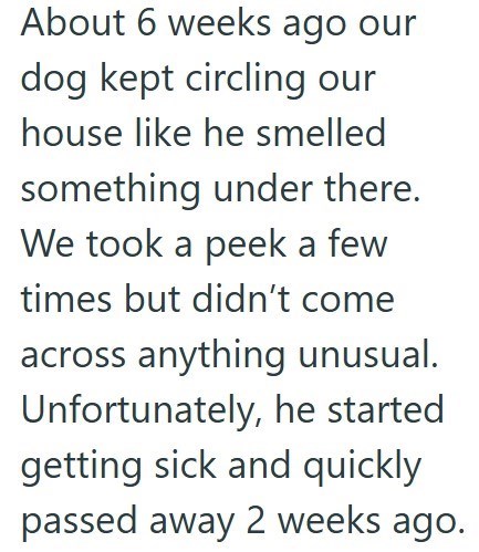 About 6 weeks ago our dog kept circling our house like he smelled something under there. We took a peek a few times but didn't come across anything unusual. Unfortunately, he started getting sick and quickly passed away 2 weeks ago.