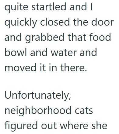 quite startled and I quickly closed the door and grabbed that food bowl and water and moved it in there. Unfortunately, neighborhood cats figured out where she