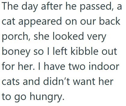 The day after he passed, a cat appeared on our back porch, she looked very boney so I left kibble out for her. I have two indoor cats and didn't want her to go hungry.