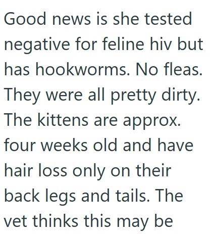 Good news is she tested negative for feline hiv but has hookworms. No fleas. They were all pretty dirty. The kittens are approx. four weeks old and have hair loss only on their back legs and tails. The vet thinks this may be