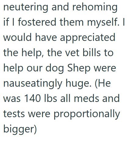 neutering and rehoming if I fostered them myself. I would have appreciated the help, the vet bills to help our dog Shep were nauseatingly huge. (He was 140 lbs all meds and tests were proportionally bigger)