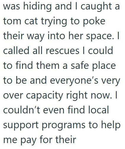 was hiding and I caught a tom cat trying to poke their way into her space. I called all rescues I could to find them a safe place to be and everyone's very over capacity right now. I couldn't even find local support programs to help me pay for their