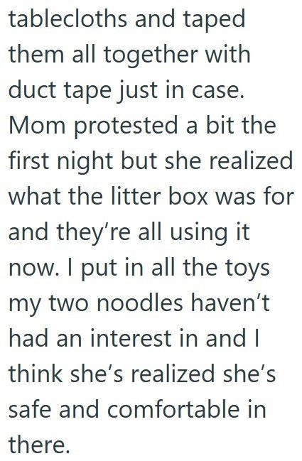 tablecloths and taped them all together with duct tape just in case. Mom protested a bit the first night but she realized what the litter box was for and they're all using it now. I put in all the toys my two noodles haven't had an interest in and I think she's realized she's safe and comfortable in there.