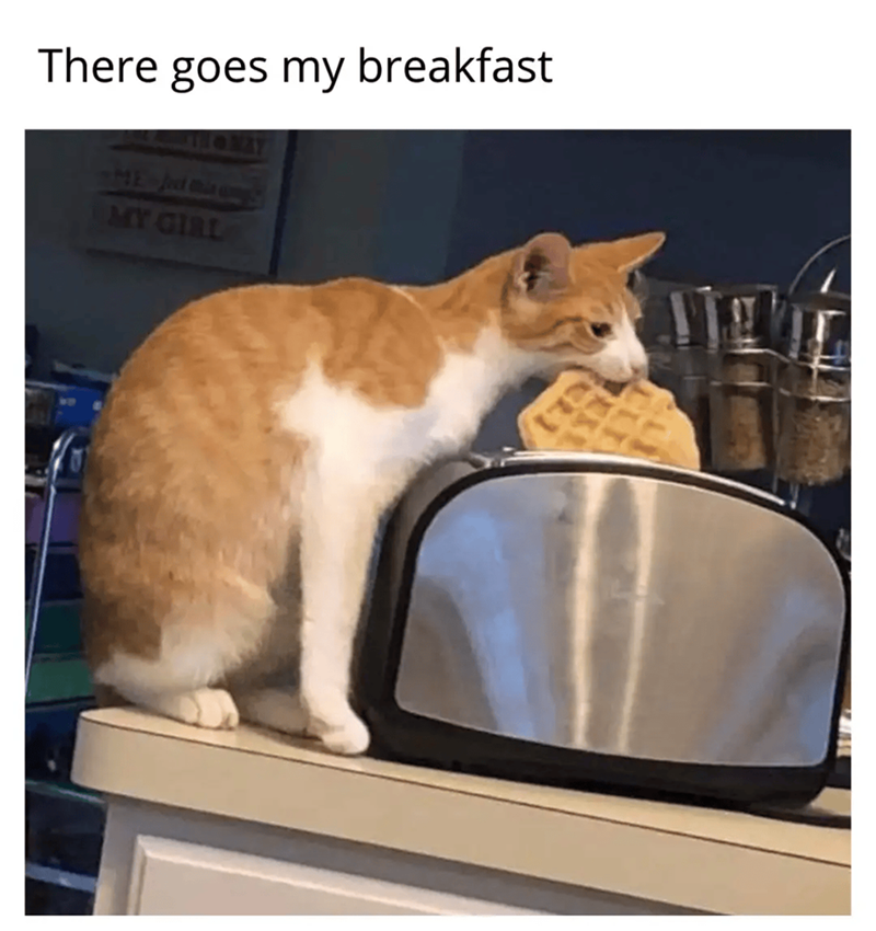 There goes my breakfast MAY ME Jed S MY GIRL