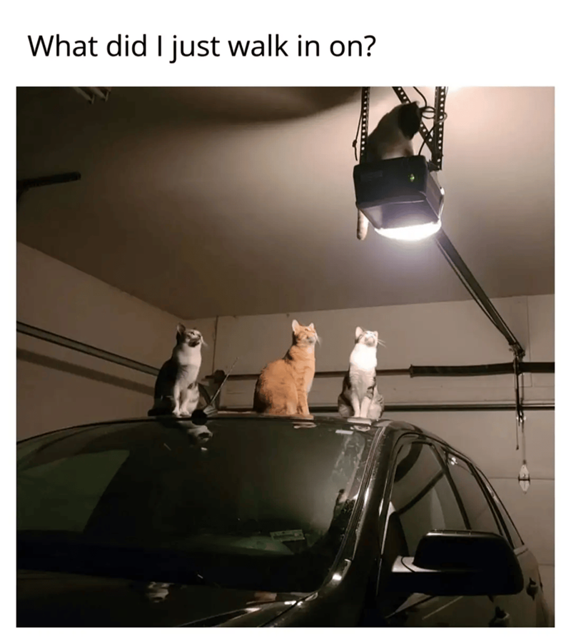 What did I just walk in on?