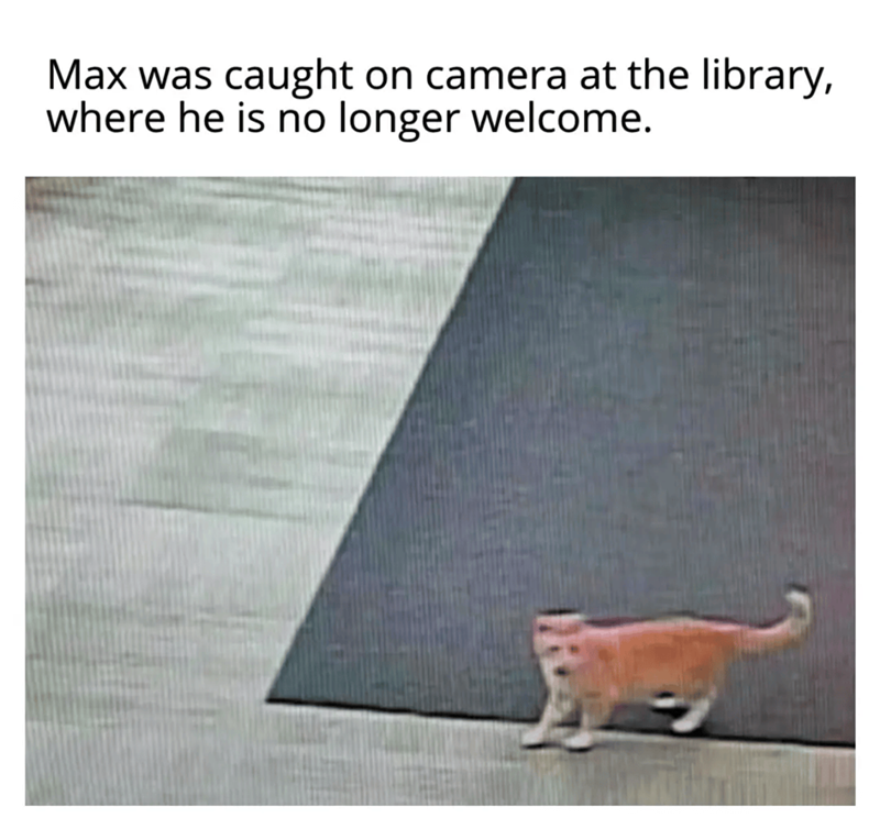 Max was caught on camera at the library, where he is no longer welcome.
